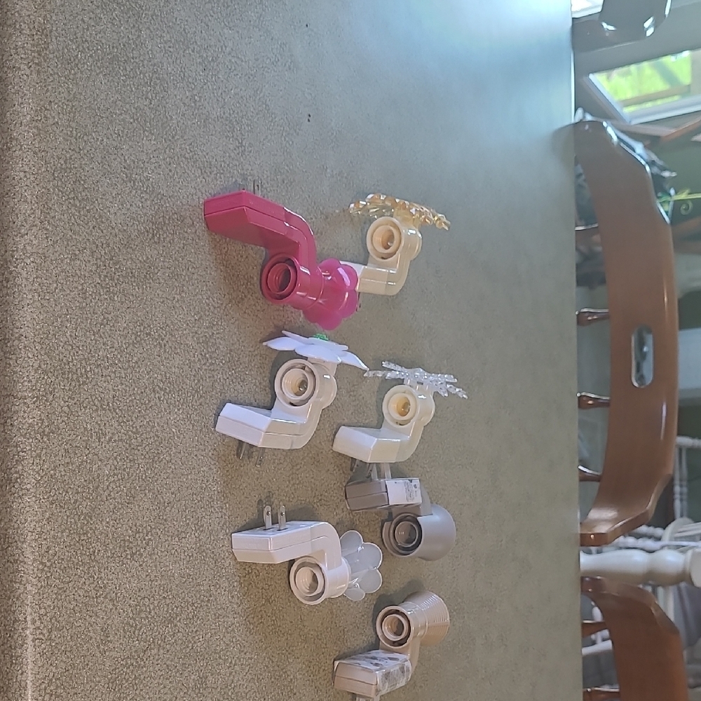 Wallflower Plugs